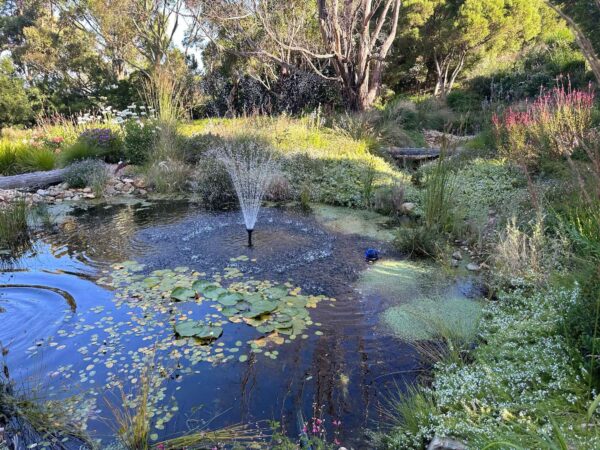 water feature fountain kit 240v pond pump